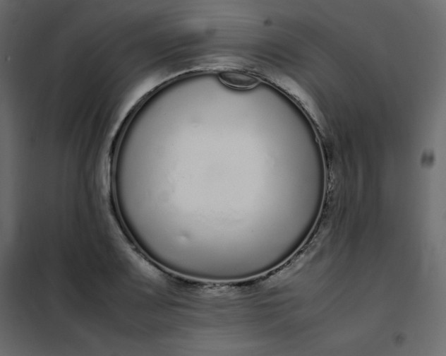 X0000102261083200808081355