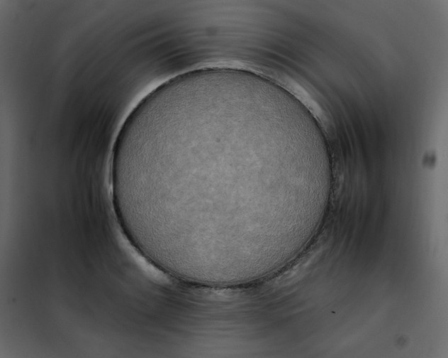 X0000102261084200808081355