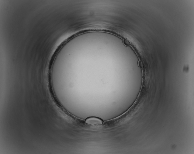 X0000102261085200808081355