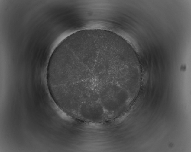 X0000102261086200808081355