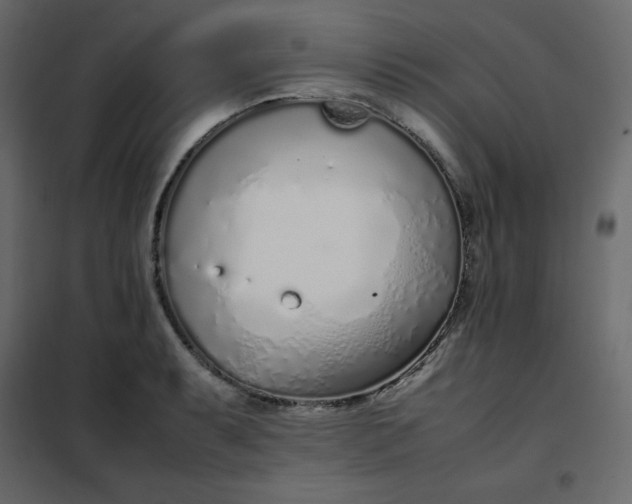 X0000102261087200808081355