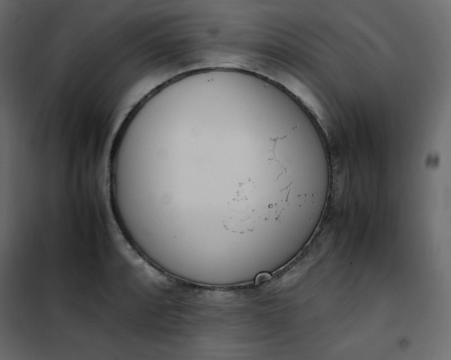 X0000102261088200808081355