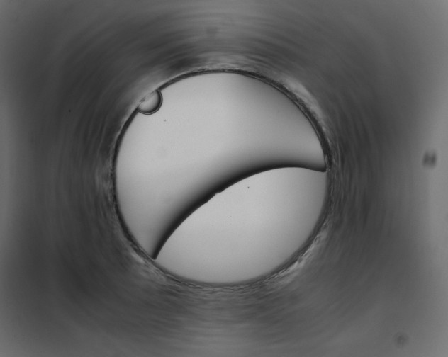 X0000102261089200808081355