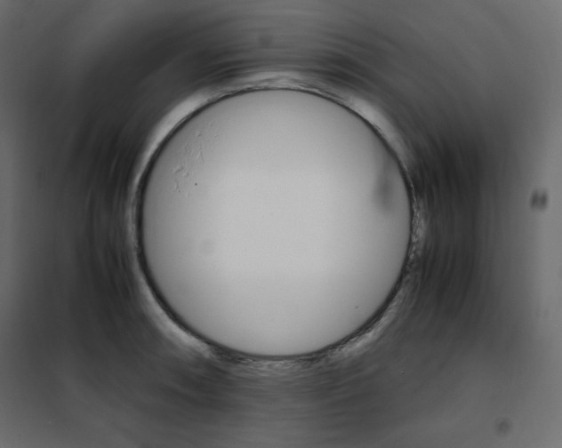 X0000102261090200808081355