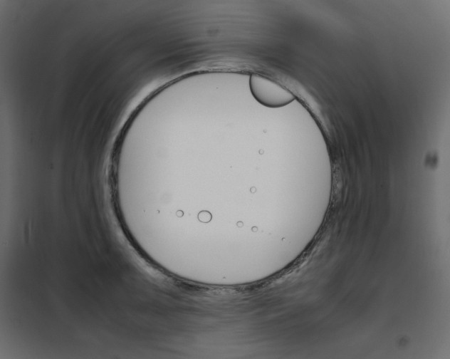 X0000102261091200808081355