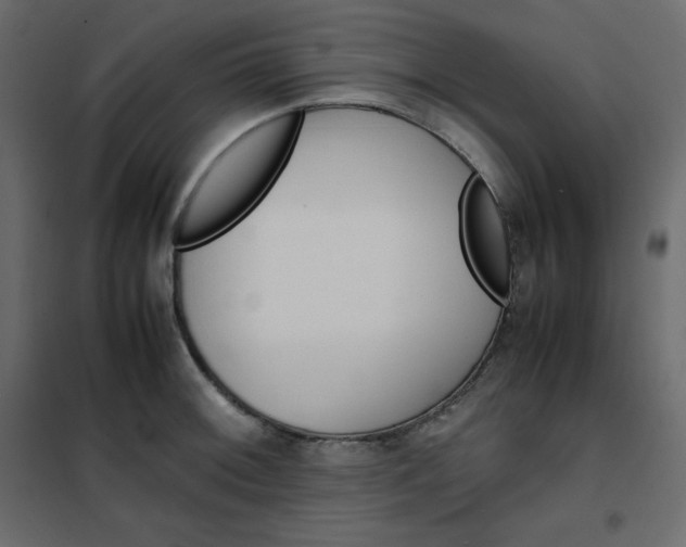 X0000102261092200808081355