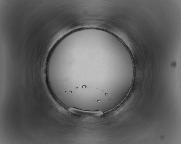 X0000102261093200808081355