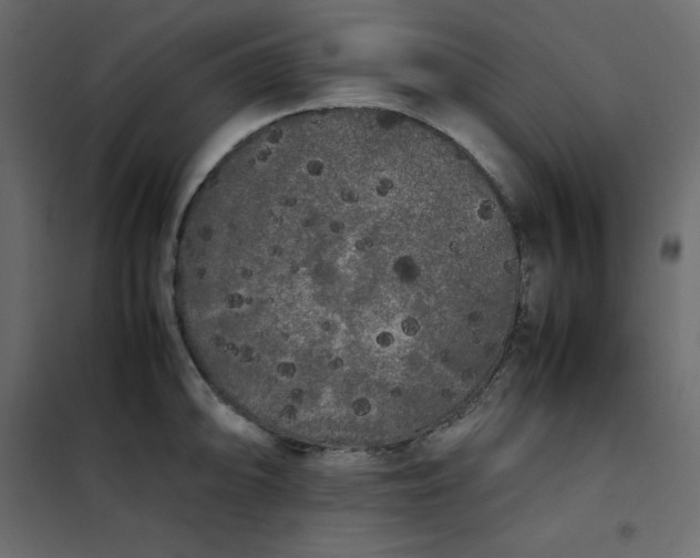 X0000102261094200808081355