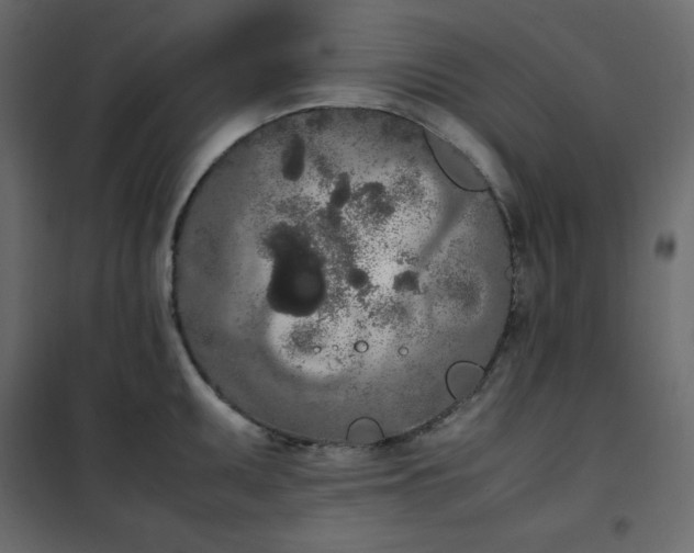 X0000102261095200808081355