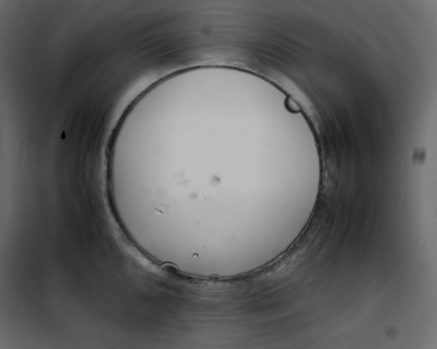 X0000102261096200808081354