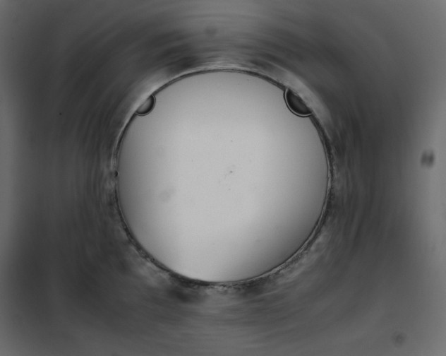 X0000102261097200808081354