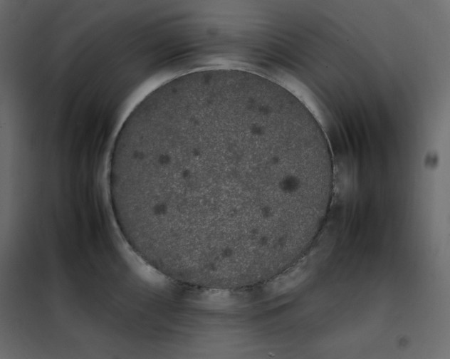 X0000102261098200808081354