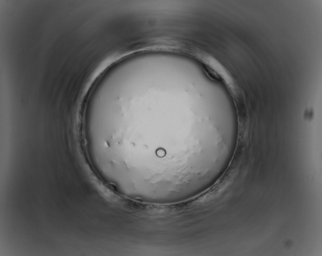 X0000102261099200808081354