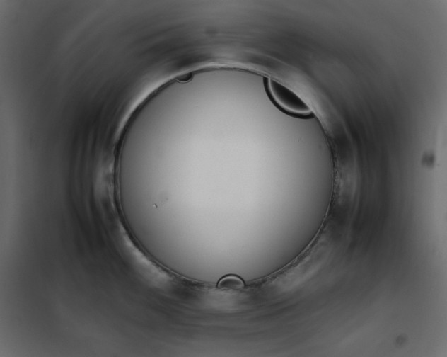 X0000102261100200808081354