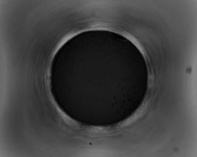 X0000102261101200808081354