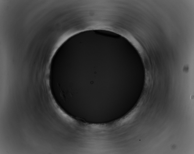 X0000102261102200808081354