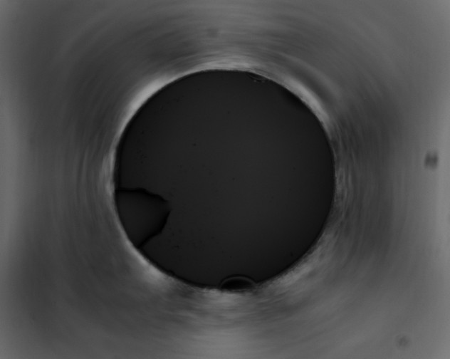 X0000102261103200808081354