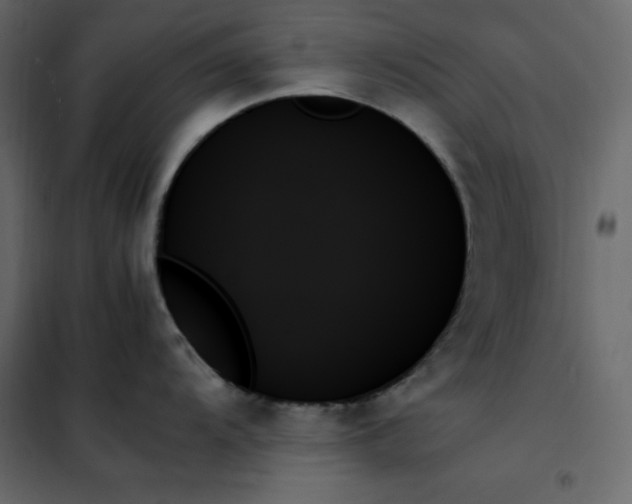 X0000102261104200808081354