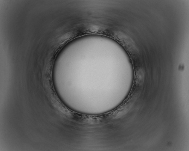 X0000102261105200808081354