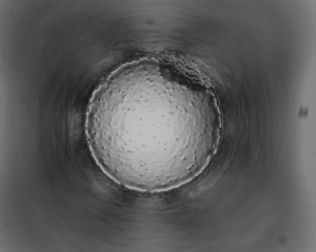 X0000102261106200808081354