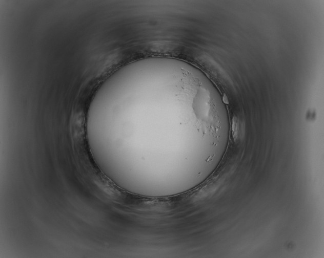 X0000102261107200808081354