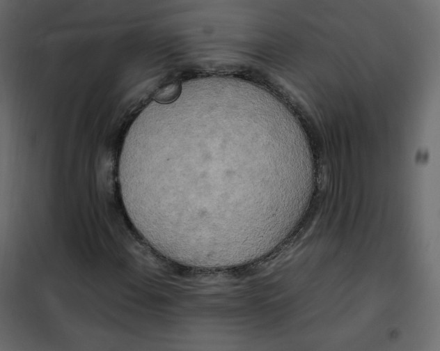 X0000102261108200808081354