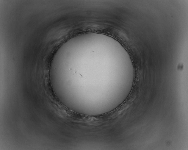 X0000102261109200808081354