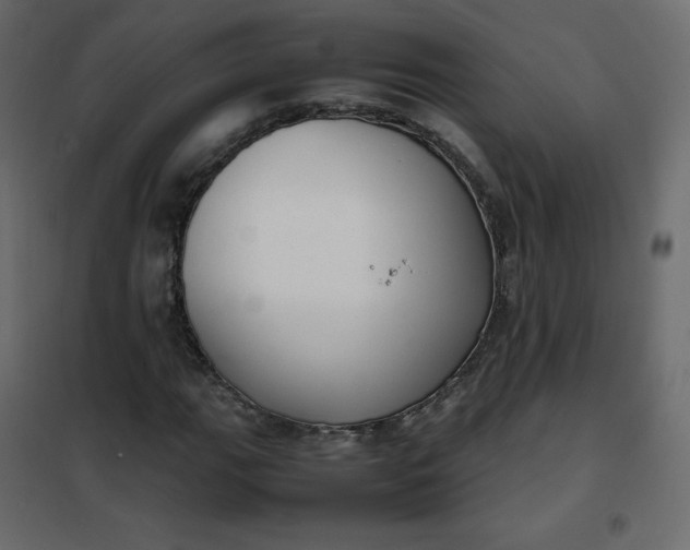 X0000102261111200808081354