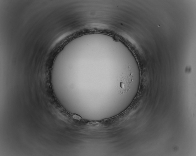 X0000102261112200808081354