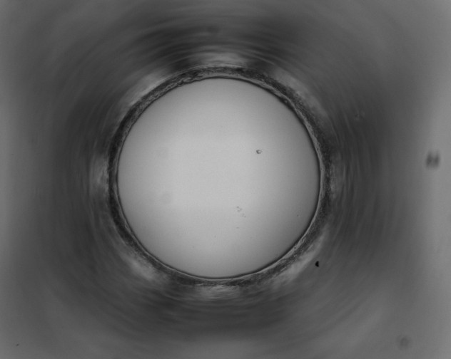 X0000102261113200808081354