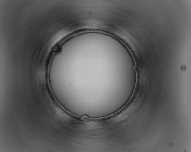 X0000102261114200808081354