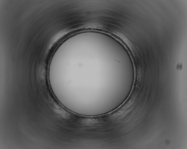 X0000102261115200808081354