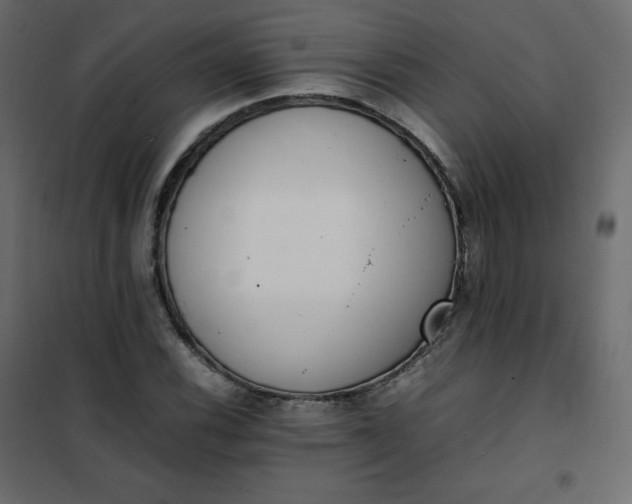 X0000102261116200808081354