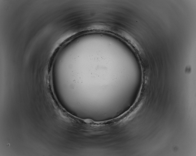 X0000102261117200808081354