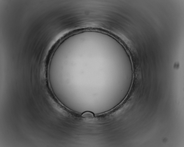 X0000102261118200808081354