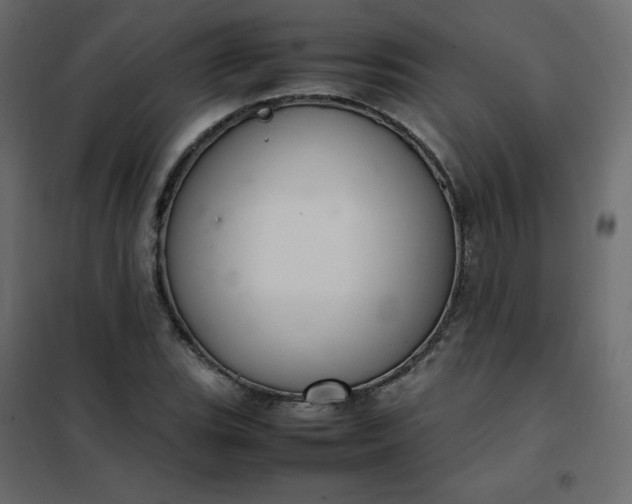 X0000102261119200808081354