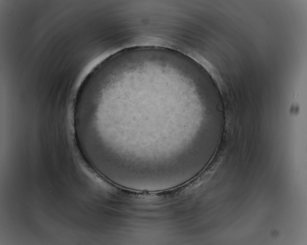 X0000102261120200808081354