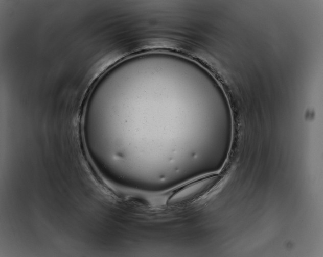 X0000102261121200808081354