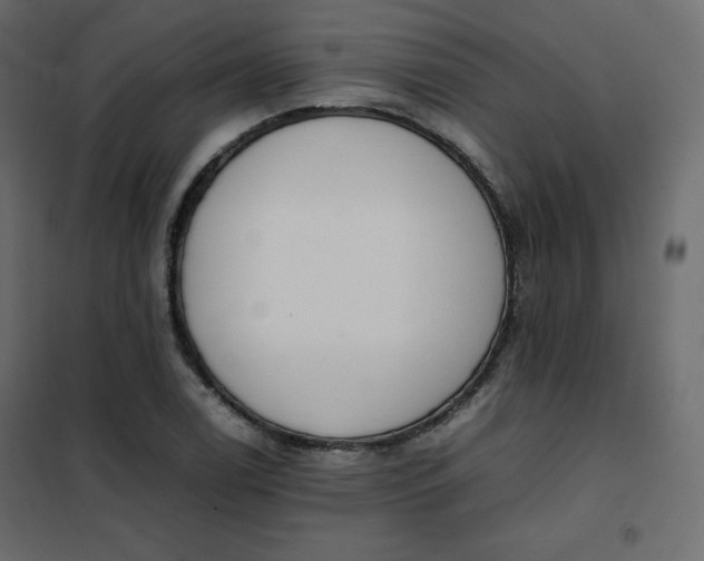 X0000102261122200808081354