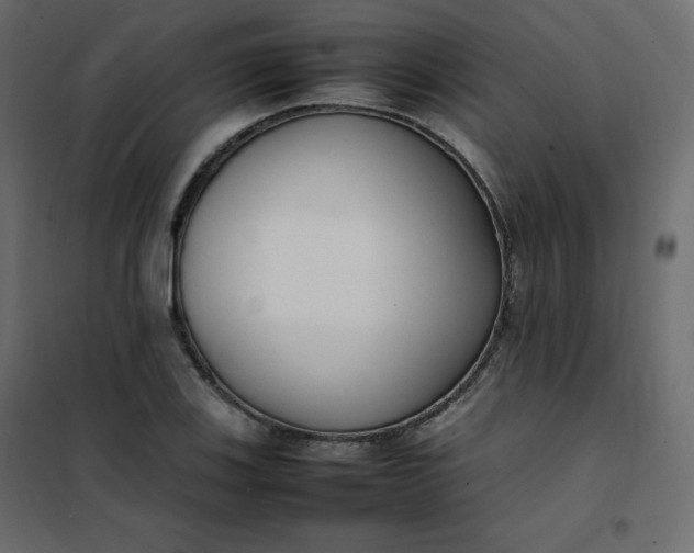 X0000102261123200808081354