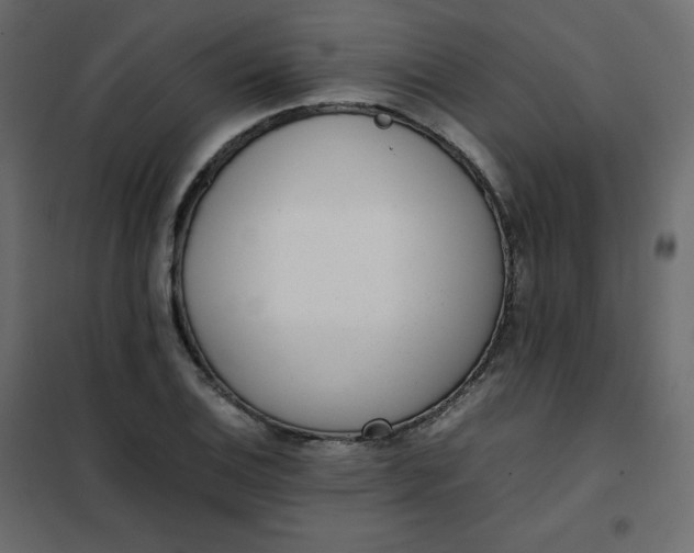 X0000102261124200808081354