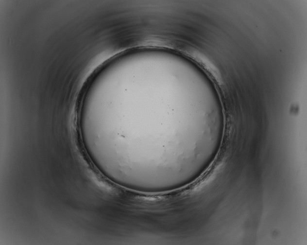 X0000102261125200808081354