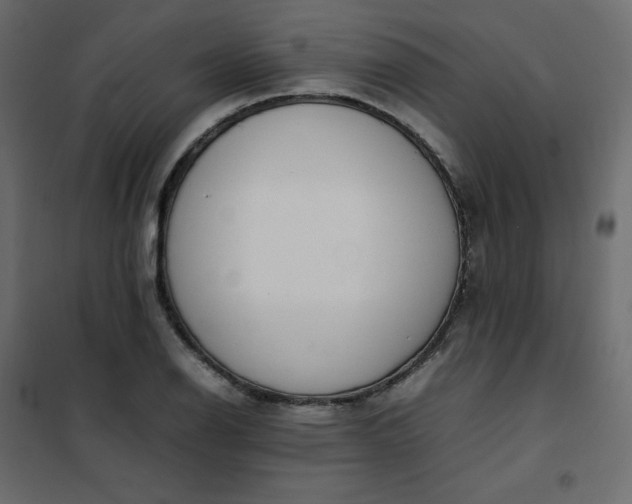 X0000102261126200808081354