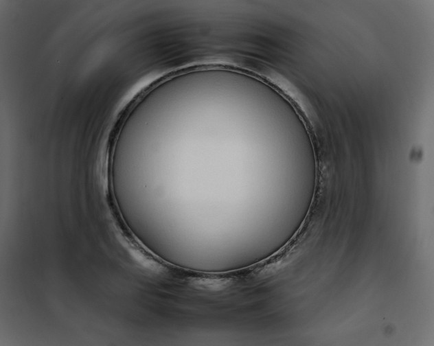 X0000102261127200808081354