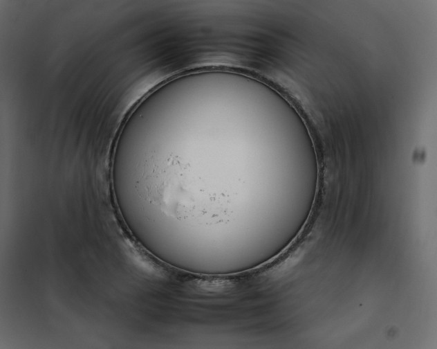 X0000102261129200808081354