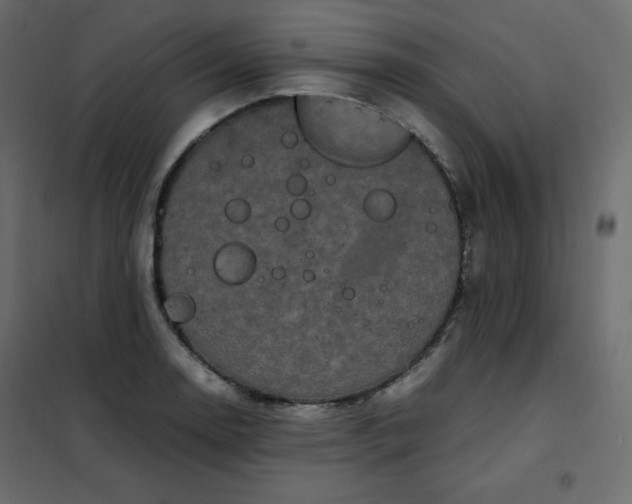 X0000102261130200808081354