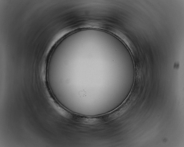 X0000102261131200808081354