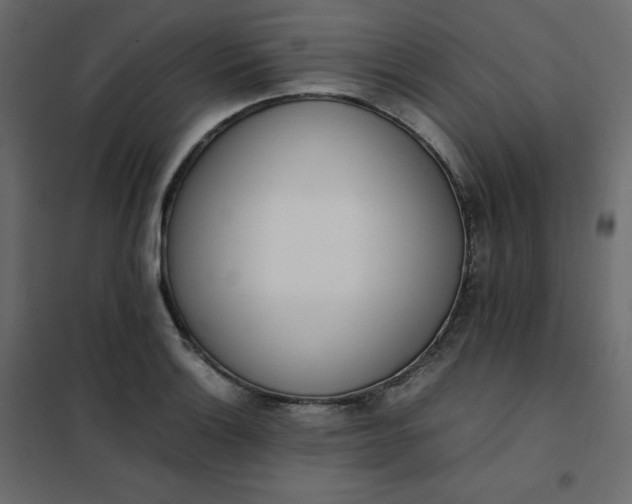 X0000102261132200808081354