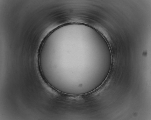 X0000102261133200808081354