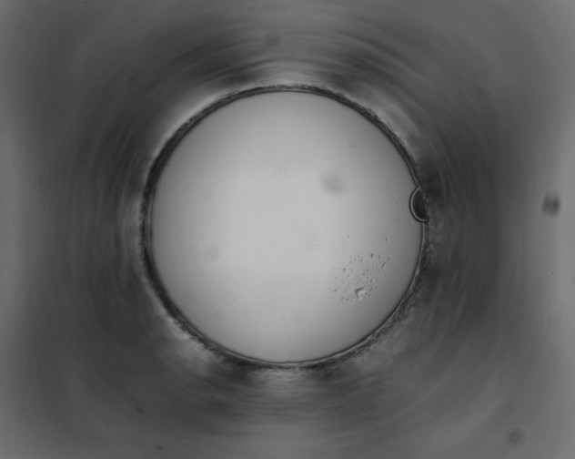 X0000102261134200808081354